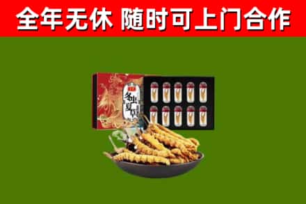 剑河回收冬虫夏草价格